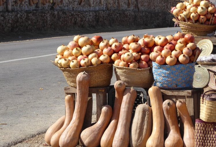 8 days Tangier to Marrakech, 