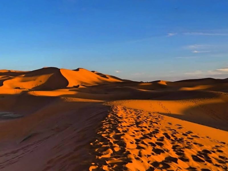Contact Desert Morocco Tours