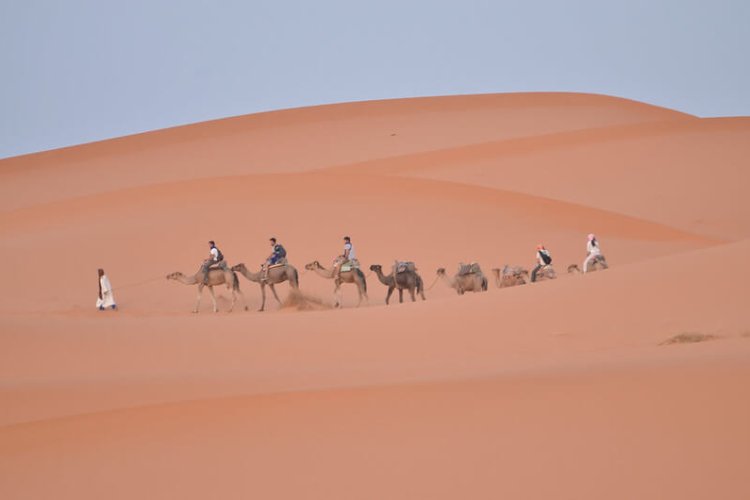 8 days Tangier to Marrakech, 