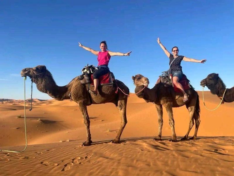 Contact Desert Morocco Tours