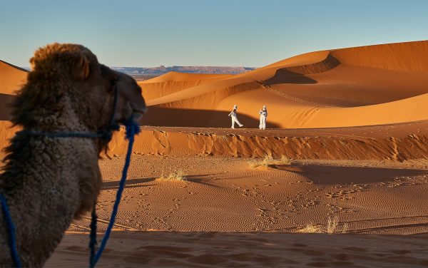 Marrakech to fes desert tour 4 days