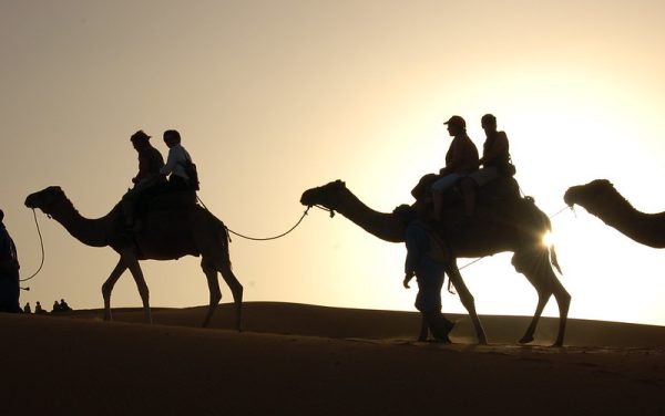Marrakech To Fes Desert Tour 2 Days