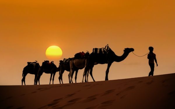 Morocco itinerary 14 days