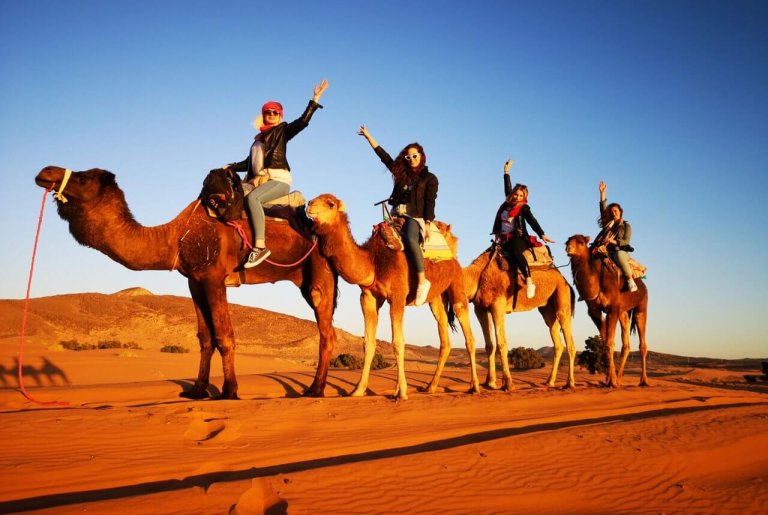 Morocco Desert Tours